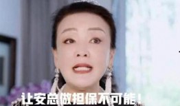 张兰爆料前夫视频,真相背后引人深思